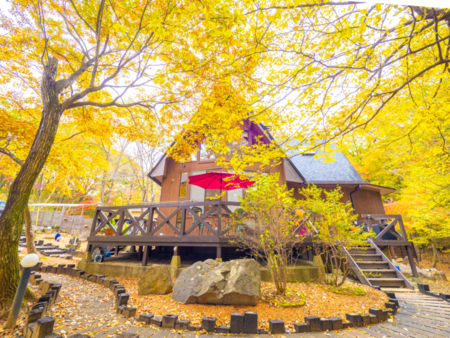 那須高原 栃木 の貸別荘コテージ 302件
